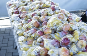 Desafio Nuts Bicanga - 2021